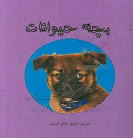 بچه حیوانات