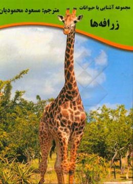 زرافه‌ها