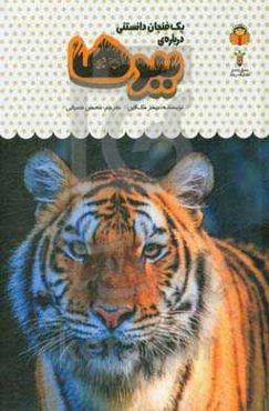 یک فنجان دانستنی درباره‌ی ببرها