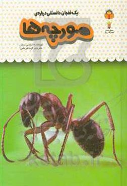 یک فنجان دانستنی درباره‌ی مورچه‌ها