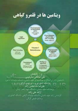 ویتامین‌ها در قلمرو گیاهی