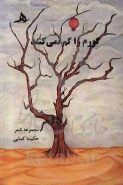 گورم را گم نمی‌کنند: مجموعه شعر