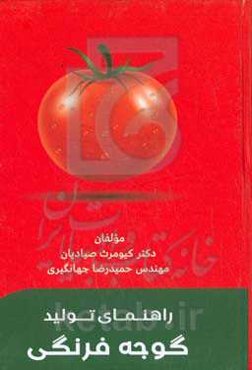 راهنمای تولید گوجه‌فرنگی (از کاشت تا برداشت)