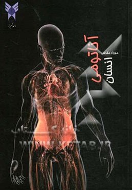 آناتومی انسان برای دانشجویان رشته تربیت بدنی