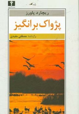 پژواک برانگیز