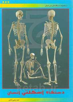 دستگاه اسکلتی انسان