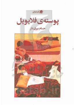 پوسته‌ی فلایویل