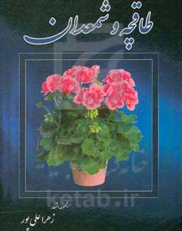 طاقچه و شمعدان