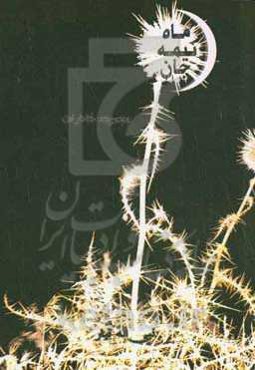 ماه نیمه‌جان: مجموعه خاطرات