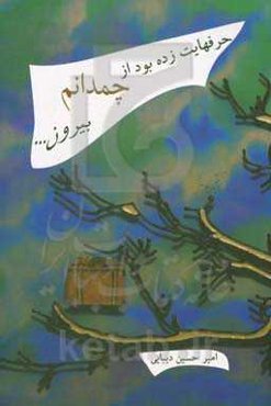 حرفهایت زده بود از چمدانم بیرون ...