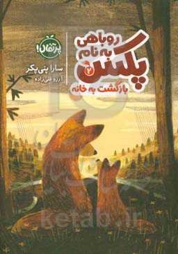 بازگشت به خانه