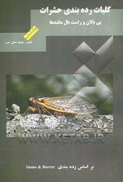 کلیات رده‌بندی حشرات: بی‌بالان و راست بال مانندها