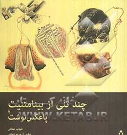 چند تنی از بینامتنیت یا پاعکس‌نوشت