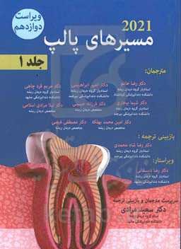 مسیرهای پالپ