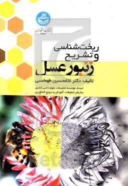 ریخت‌شناسی و تشریح زنبور عسل