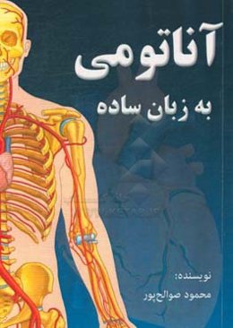 آناتومی به زبان ساده