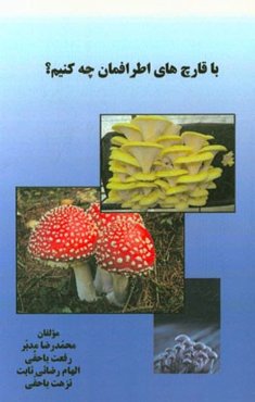 با قارچ‌های اطراف‌مان چه کنیم؟