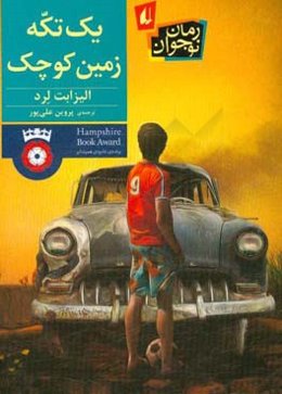 یک تکه زمین کوچک