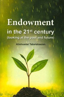 Endowment in the 21 century (looking at the past and future)