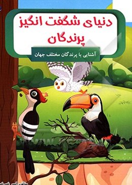 دنیای شگفت‌انگیر پرندگان