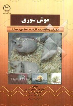 موش سوری: پرورش و نگهداری، کاربرد، آناتومی، بیماری