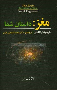 مغز: داستان شما