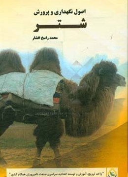 اصول نگهداری و پرورش شتر