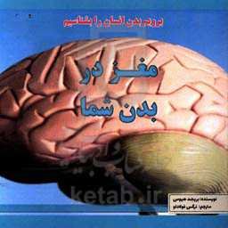 مغز در بدن شما