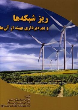 ریزشبکه‌ها و بهره‌برداری بهینه از آن‌ها