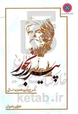 پیر رنجور (شرح پارسی همزیه نالی)