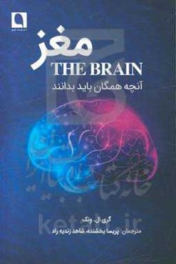 مغز: آنچه همگان باید بدانند