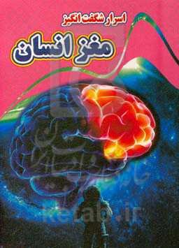 اسرار شگفت‌انگیز مغز انسان