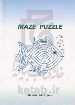 Maze puzzle