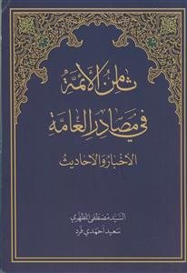 ثامن الائمه فی مصادر العامه