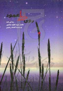 روی خط عمود: خاطرات جانباز شهید لطیف عبادپور