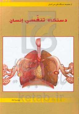 دستگاه تنفسی انسان