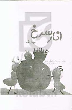 انار سرخ روشاخه