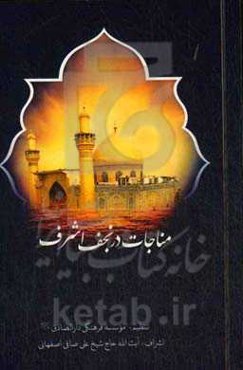 مناجات در نجف اشرف