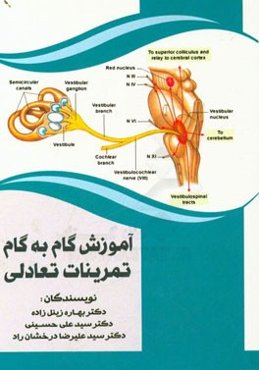 آموزش گام به گام تمرینات تعادلی