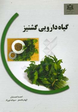 گیاه دارویی گشنیز