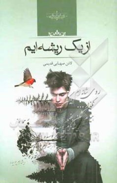 از یک ریشه‌ایم