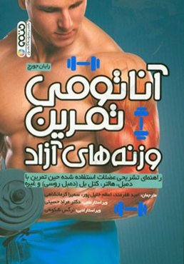 آناتومی تمرین وزنه‌های آزاد: راهنمای تشریحی عضلات استفاده شده حین تمرین با دمبل، هالتر، کتل‌بل (دمبل روسی) و غیره