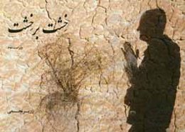 خشت بر خشت: چشم‌اندازی از میراث فرهنگی زرتشتیان یزد