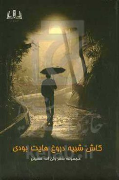 کاش شبیه دورغ‌هایت بودی