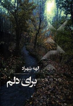 برای دلم