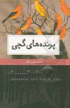 پرونده‌های گچی