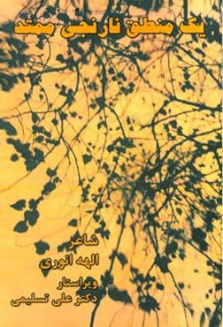 یک منطق نارنجی ممتد ...