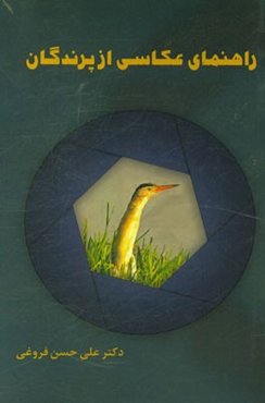 راهنمای عکاسی از پرندگان