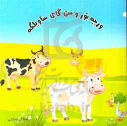 ورچه بور و سی گای ساویلکه