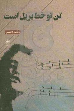 تن تو خط بریل است